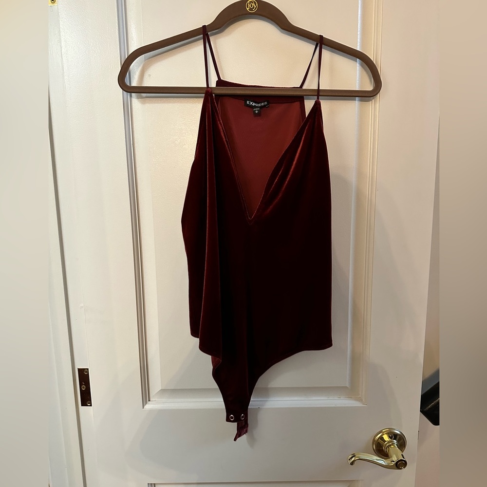 Express V-Neck Plunging Velvet Thong Bodysuit